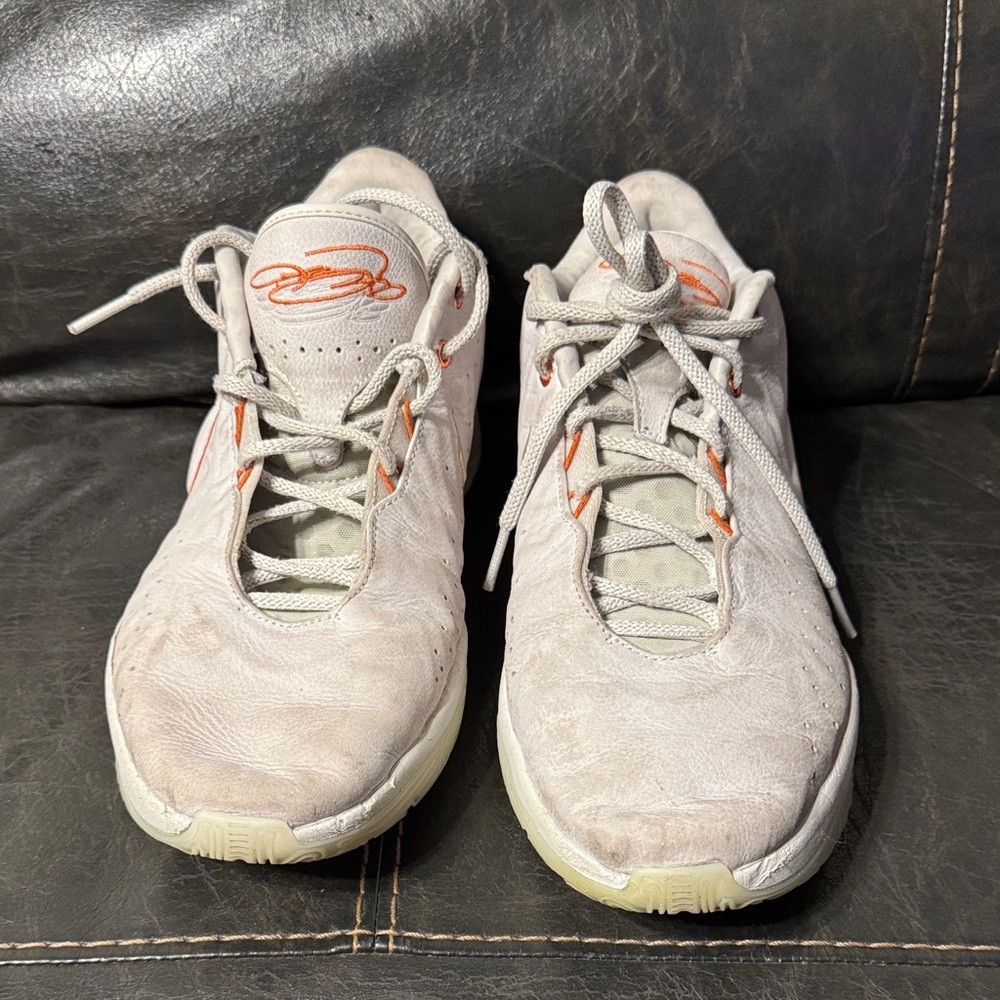 Nike LeBron Akoya 13mens